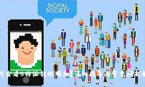 如何查看B特派转账明细？详细指导与常见问题解答